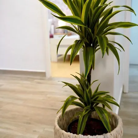 For 6 + Free Parking Place Appartement