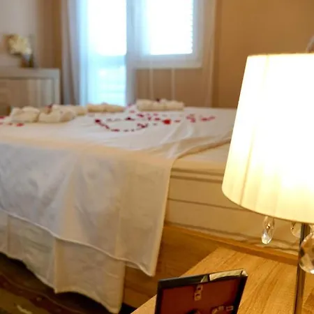 For 6 + Free Parking Place *