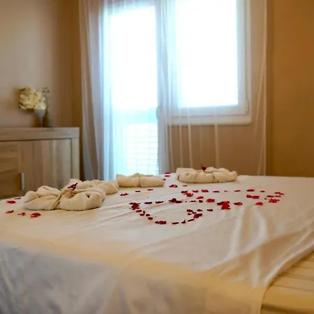 For 6 + Free Parking Place