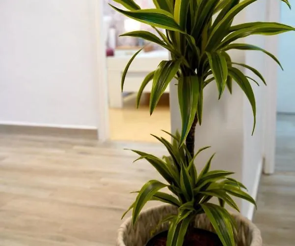 For 6 + Free Parking Place Apartamento